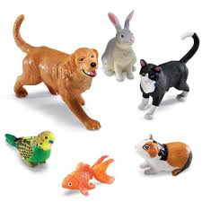 Pet Items
