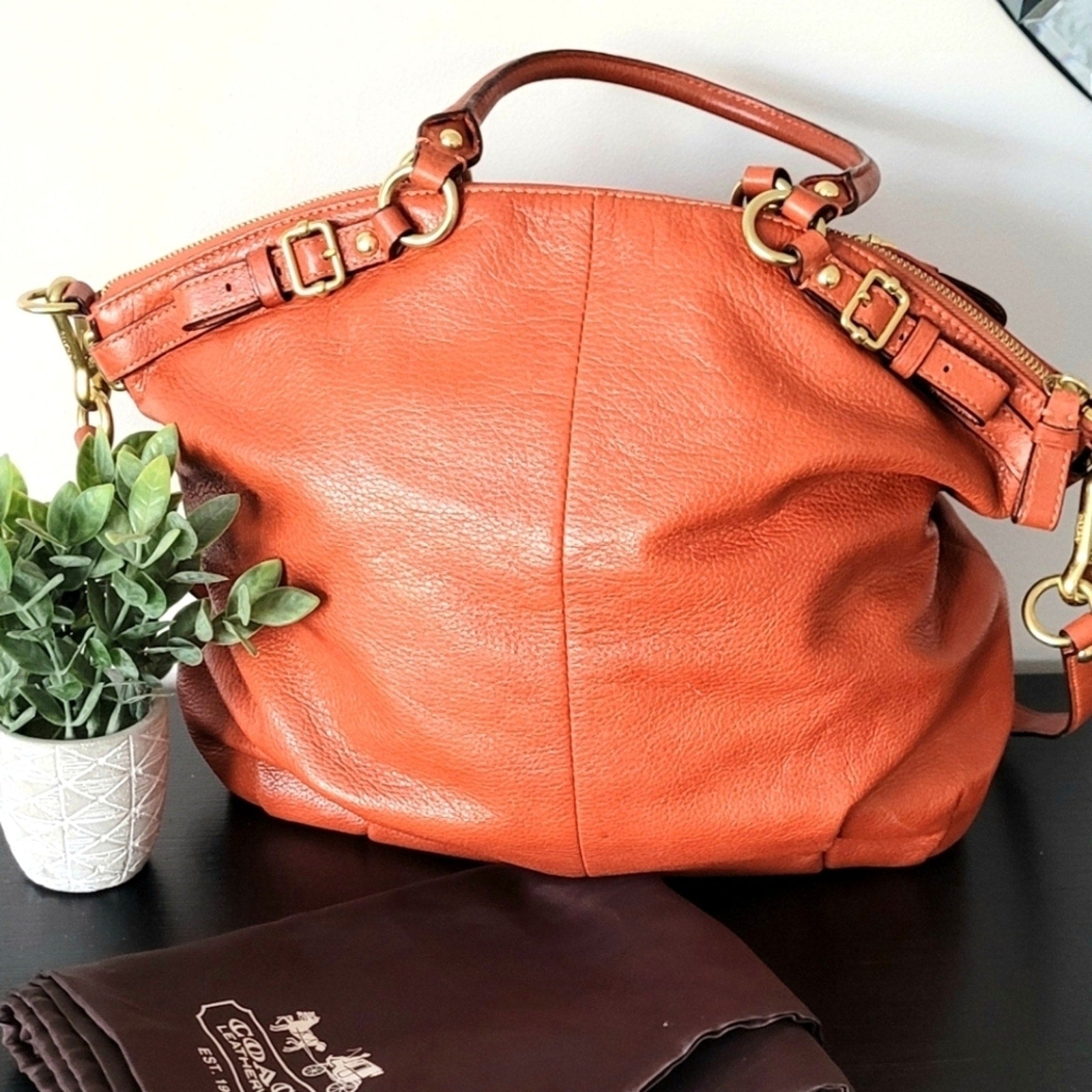 Coach Madison Leather Lindsey Satchel Handbag
SKU 43113 EUC