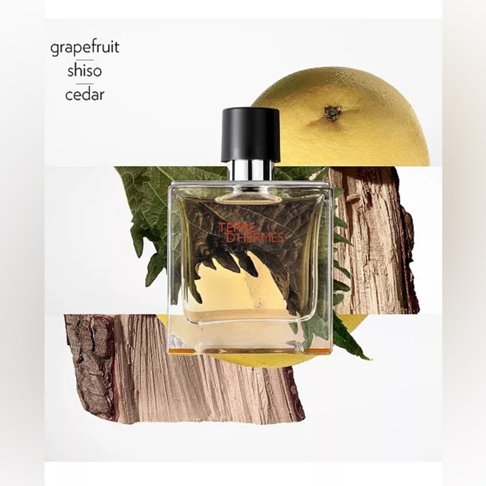 Hermès Terre D'Hermès Cologne